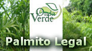 Onda Verde - Palmito Legal